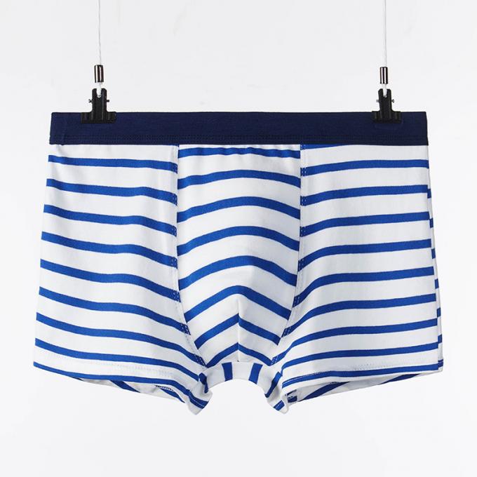 XXXL 165kg 95kg 코튼 남성 속옷 섹시한 순수 코튼 팬티 성인 스트라이프 스포츠 7