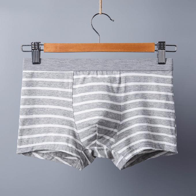 XXXL 165kg 95kg 코튼 남성 속옷 섹시한 순수 코튼 팬티 성인 스트라이프 스포츠 5